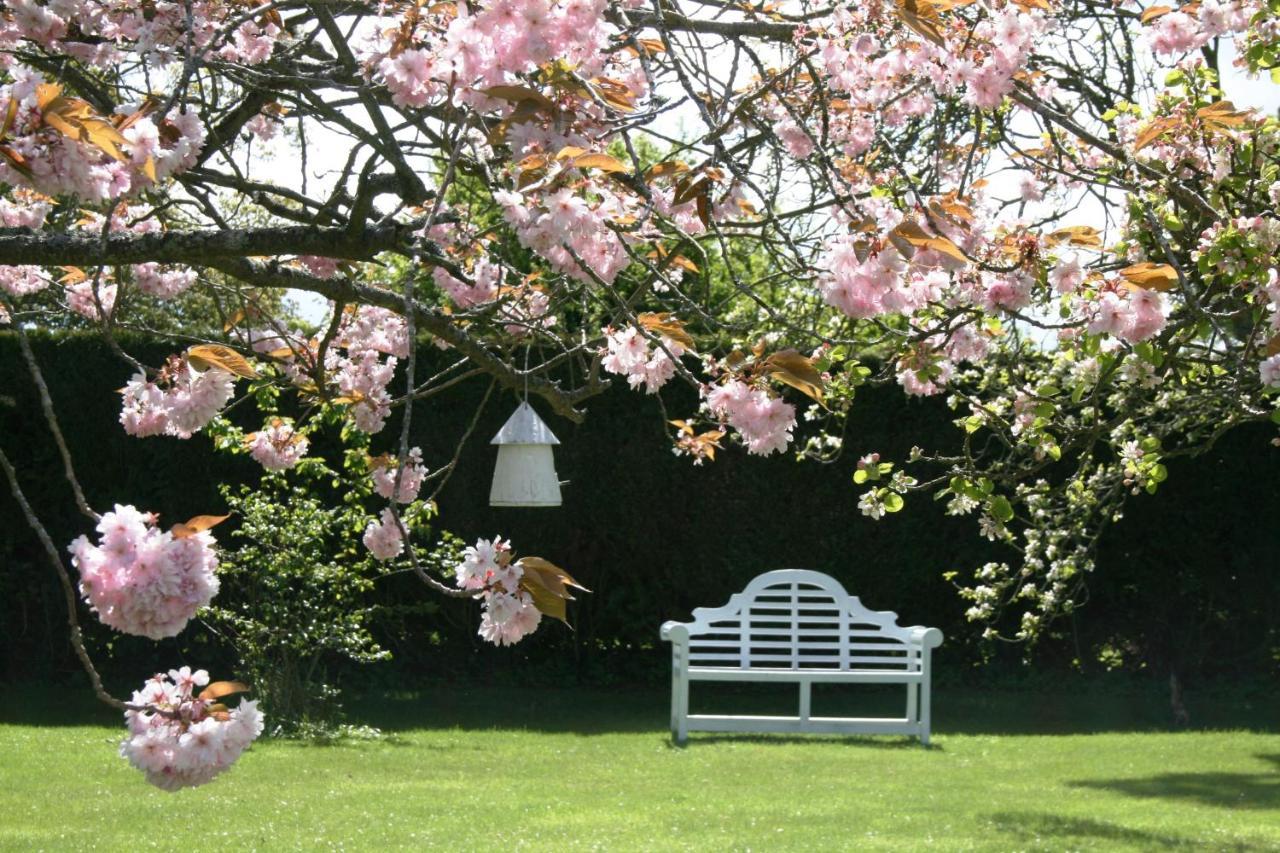 The Old Parsonage Country House Berwick Upon Tweed Extérieur photo